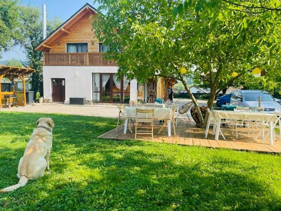 Gradina Lu' Ion "A Home Away From Home" (Adults Only) Vişeu de Sus Exteriör bild